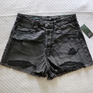 Target Wild Fable Distressed Black Denim Shorts